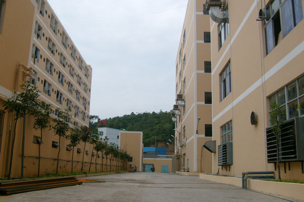 General company view